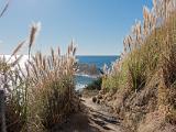 Coast 006